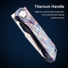REMETTE RT-Peregrine Falcon Knife Innovative Button Lock Structure Design Thunder Lightn Textures Titanium Handle M390 Knives RTT1-TX with Safety Lock