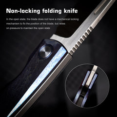 REMETTE RT-Squirrel Knife Titanium Handle M390 Blade RTDP-V