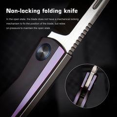 REMETTE RT-Squirrel Knife Titanium Handle M390 Blade RTDP-C