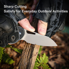 (Amazon purchase) REMETTE RT-Camel Knife Button Liner Lock D2 Blade G10 Handle Outdoor Camping Knives RTS1