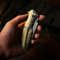 REMETTE RT-Cool Whale Knife M390 Blade Titanium Handle Folding Pocket Outdoor Camping EDC Knife RTCL-CRB