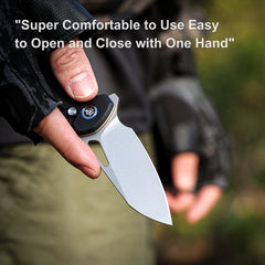 (Amazon purchase) REMETTE RT-Camel Knife Button Liner Lock D2 Blade G10 Handle Outdoor Camping Knives RTS1
