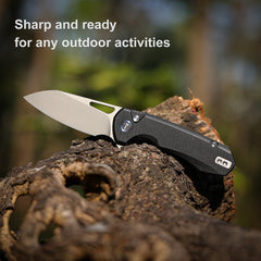 (Amazon purchase) REMETTE RT-Camel Knife Button Liner Lock D2 Blade G10 Handle Outdoor Camping Knives RTS1