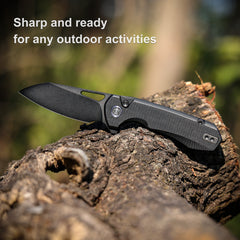 (Amazon purchase) REMETTE RT-Camel Knife Button Liner Lock D2 Blade G10 Handle Outdoor Camping Knives RTB1