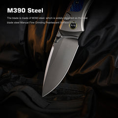 REMETTE RT-Steed Innovative Button Frame Lock M390 Blade Titanium Carbon Fiber Handle  Folding Pocket Knife RTWS-TC