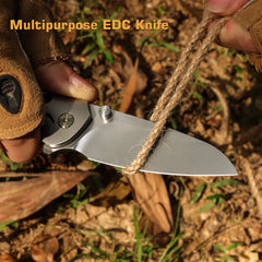 REMETTE RT-BEE-T Titanium M390 Knife Outdoor Folding Pocket EDC Knives with Fruit Food Fork Toothpick (Pocket Clip with LOGO)