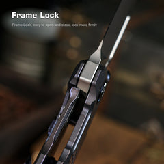 REMETTE RT-Cool Leopard Knife Frame Lock M390 Blade Titanium Handle Outdoor Camping Knives RTKS-L