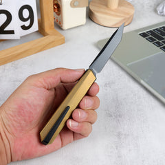 REMETTE RT-ELIGO Knife M390 Blade Titanium Handle Double Detent Lock Folding Pocket EDC Knife EGB3